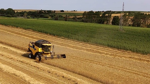 Filiz Makarna Sürdürülebilirlik