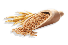 Filiz Kepekli Makarna