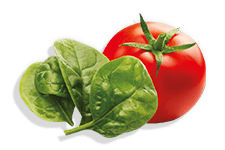 Filiz Sebzeli Makarna